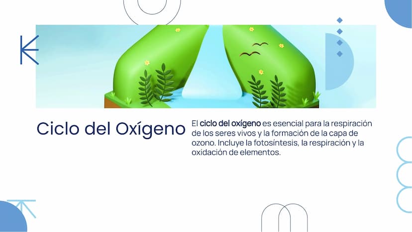 Importancia de los
Ciclos
Biogeoquímicos en
el Ecosistema Introducción
Los ciclos biogeoquímicos son procesos fundamentales
para el equilibr