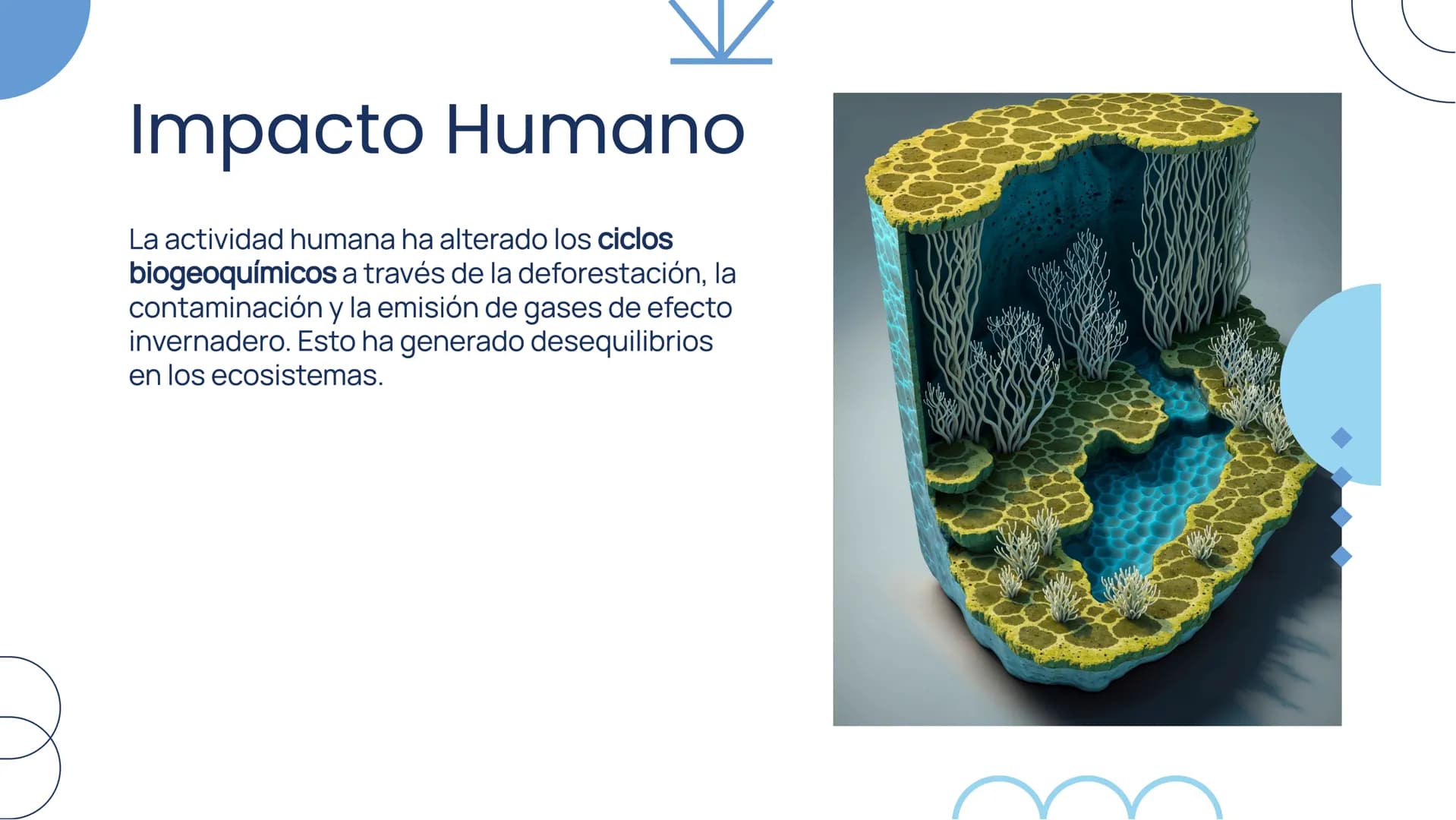 Importancia de los
Ciclos
Biogeoquímicos en
el Ecosistema Introducción
Los ciclos biogeoquímicos son procesos fundamentales
para el equilibr