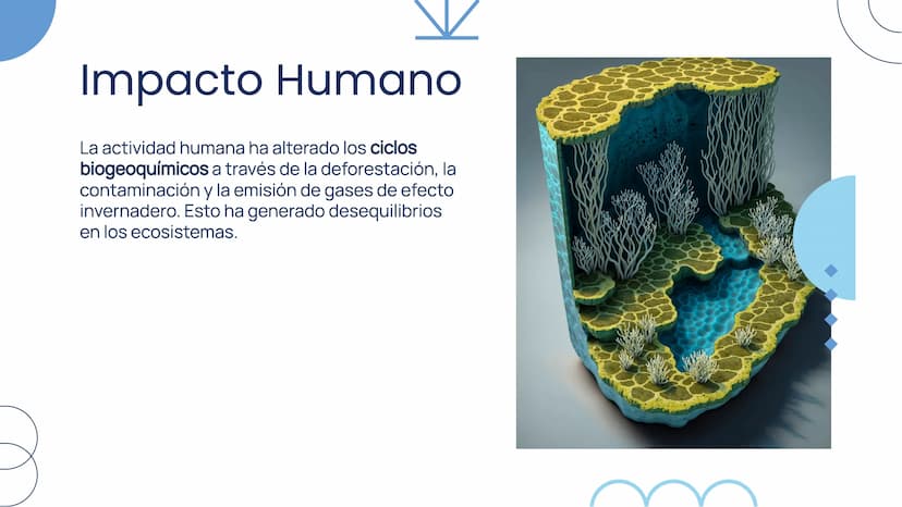 Importancia de los
Ciclos
Biogeoquímicos en
el Ecosistema Introducción
Los ciclos biogeoquímicos son procesos fundamentales
para el equilibr