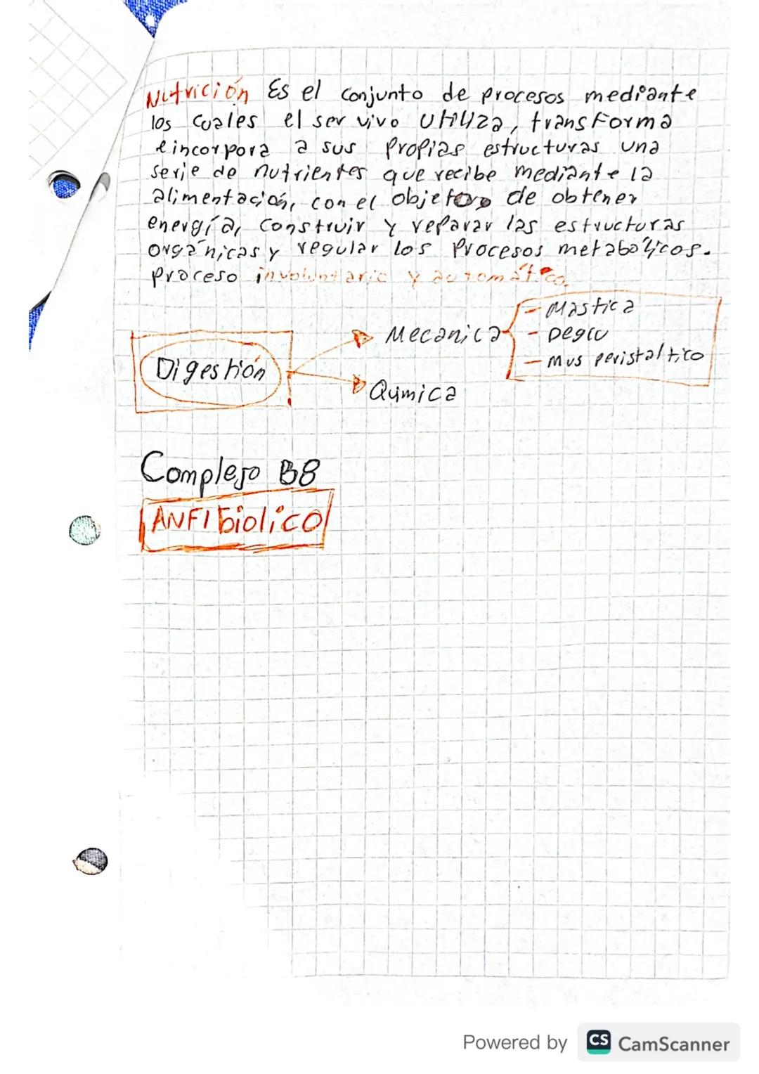 Bioquimica Jueves
Alimentacione Es el Proceso mediante el cual
nos procuramos cos
alimentos necesarios
Para mantener la vida, los selecciona