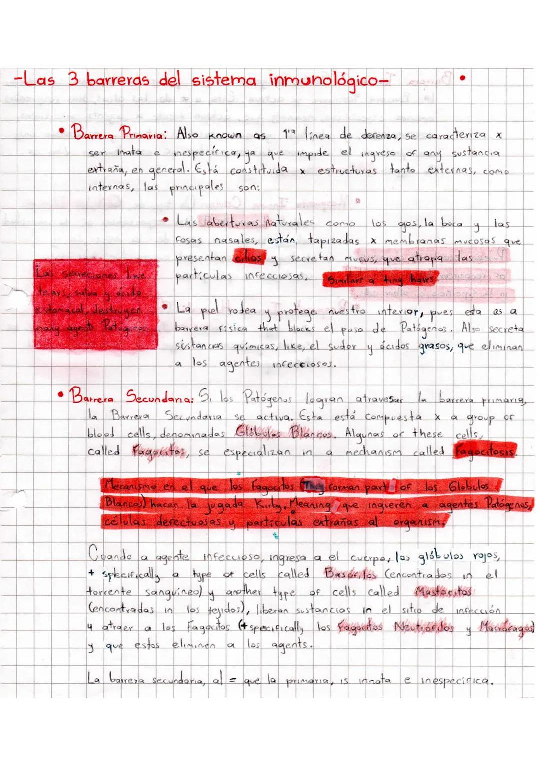 El Sistema Inmune: Funciones, Barreras y Vacunas