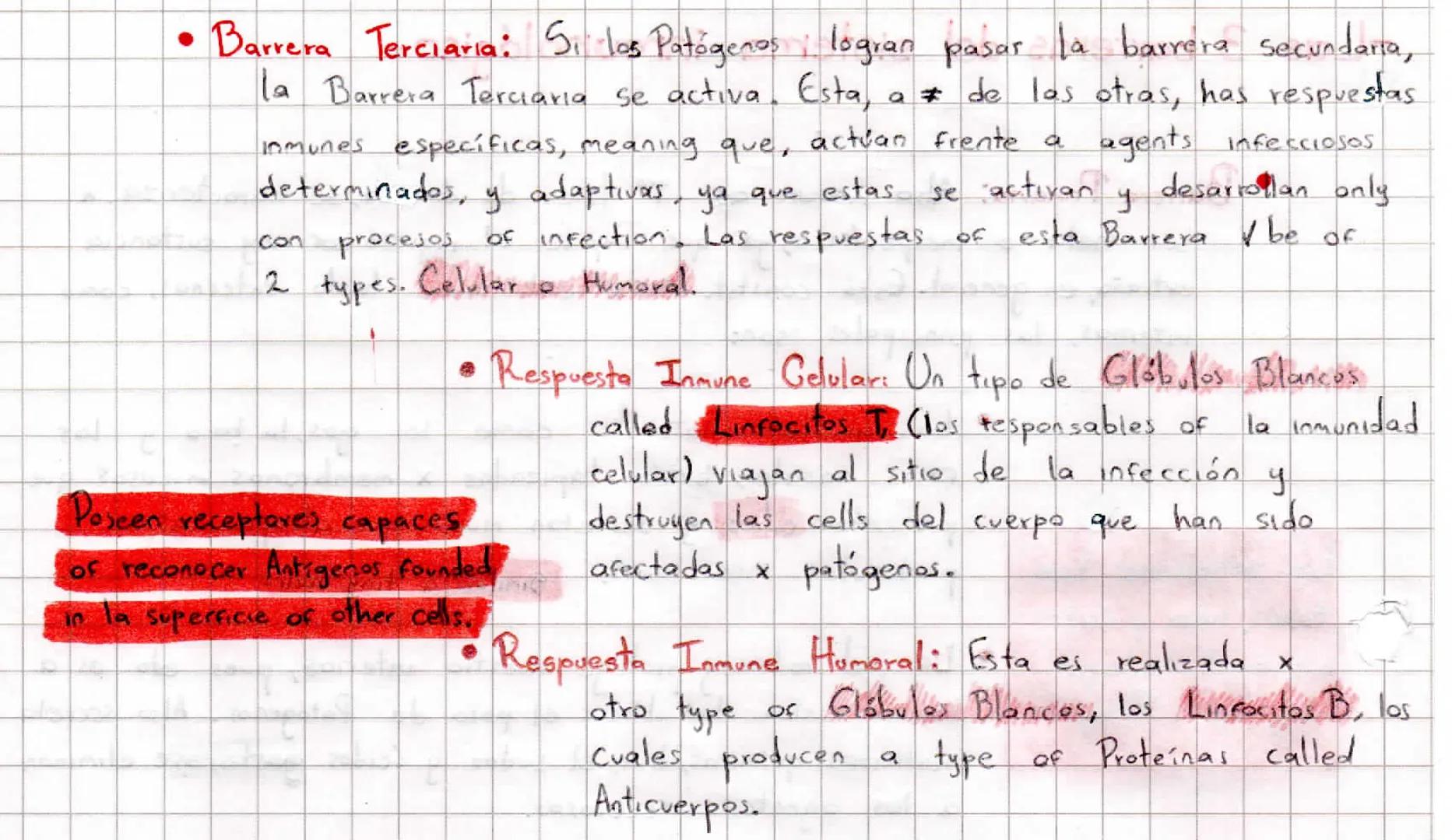 -Las 3 barreras del sistema inmunológico-
.
• Barrera Primaria: Also known
ser imata e
A
95
Tra linea de defenza, se caracteriza x
of any
Su