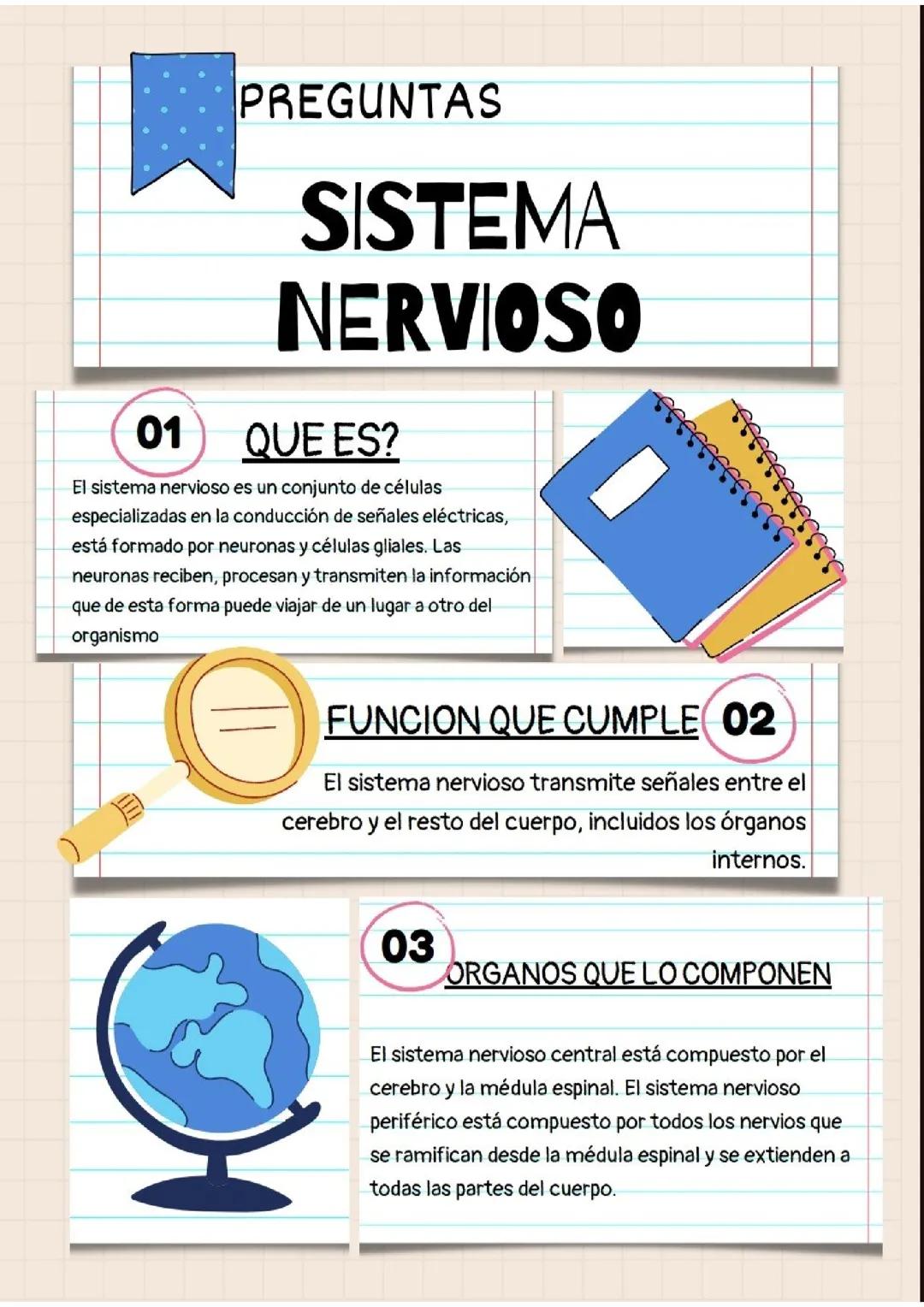 preguntas del sistema nervioso 