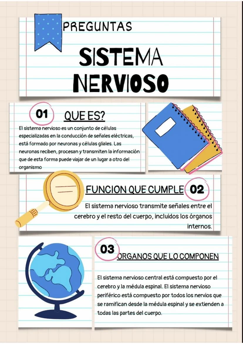01
PREGUNTAS
SISTEMA
NERVIOSO
QUE ES?
El sistema nervioso es un conjunto de células
especializadas en la conducción de señales eléctricas,
e
