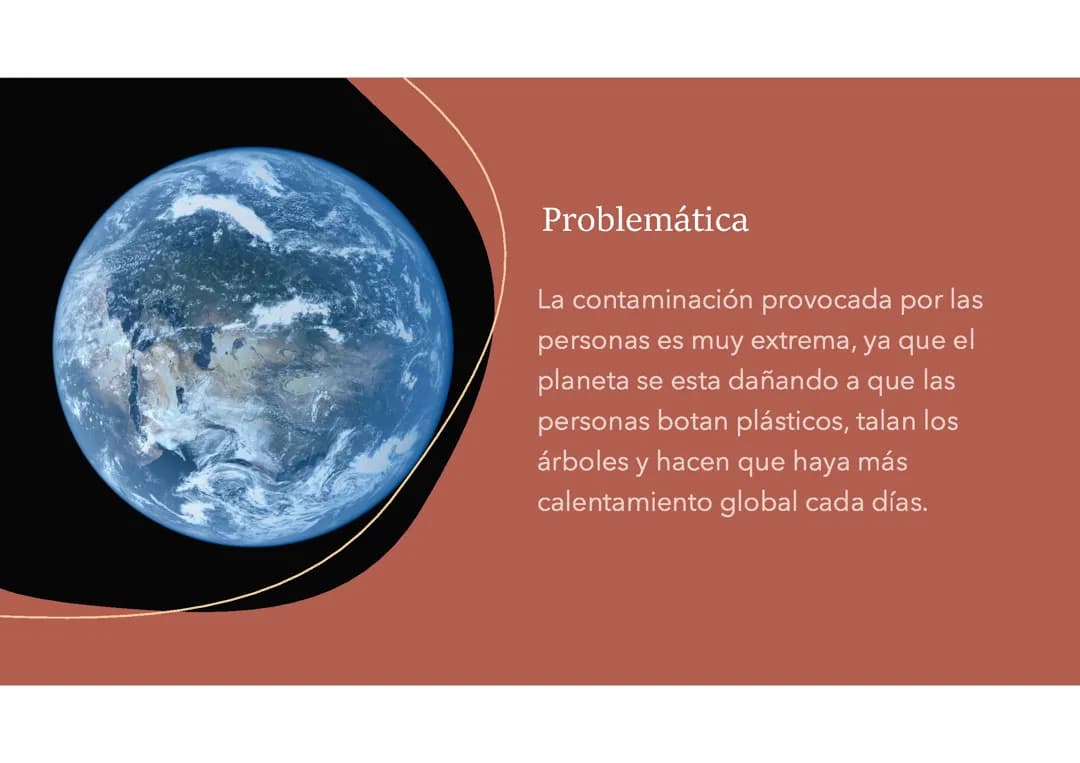 Contaminación ambiental 