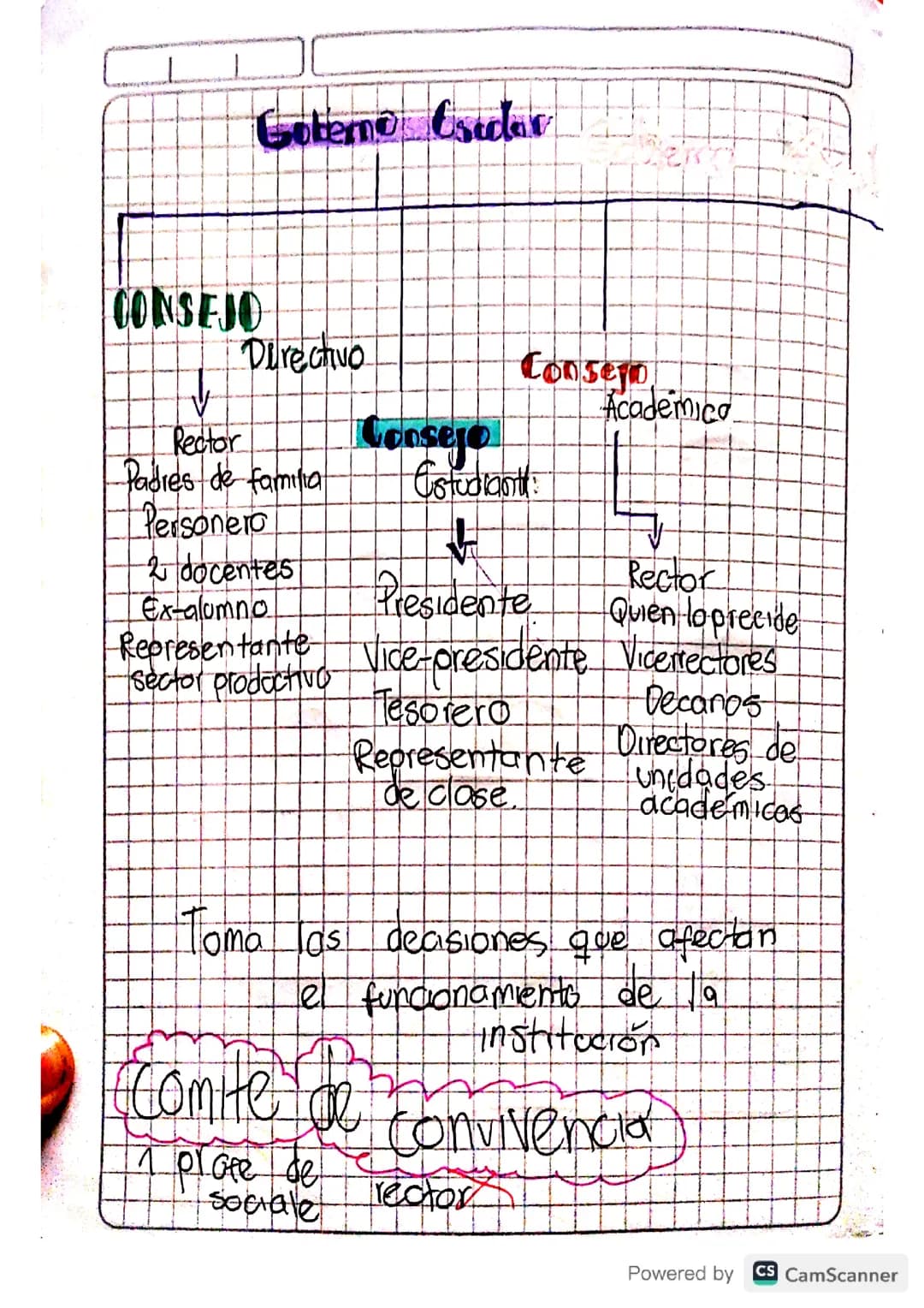 Mapa Conceptual Gobierno Escolar 