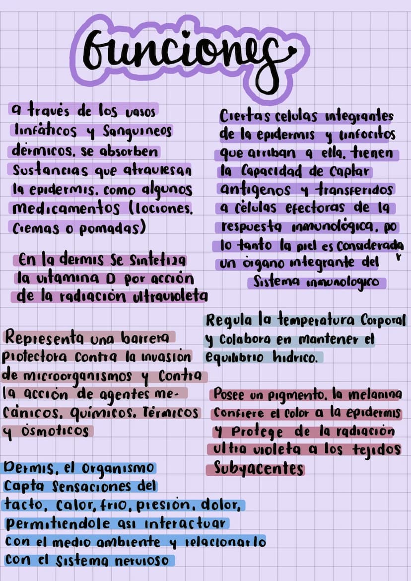 ✓ SISTEMA
tegumentario
La estructura de la piel, tejido subcutaneo
Paniculo adiposo, glándulas sebáceas & glándulas
Sudoriparas, apendices c