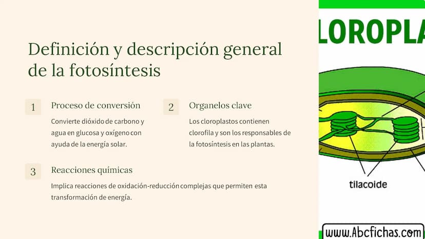 La fotosíntesis: el
proceso
fundamental de la
vida
La fotosíntesis es el proceso clave que sustenta la vida en la Tierra,
convirtiendo la en