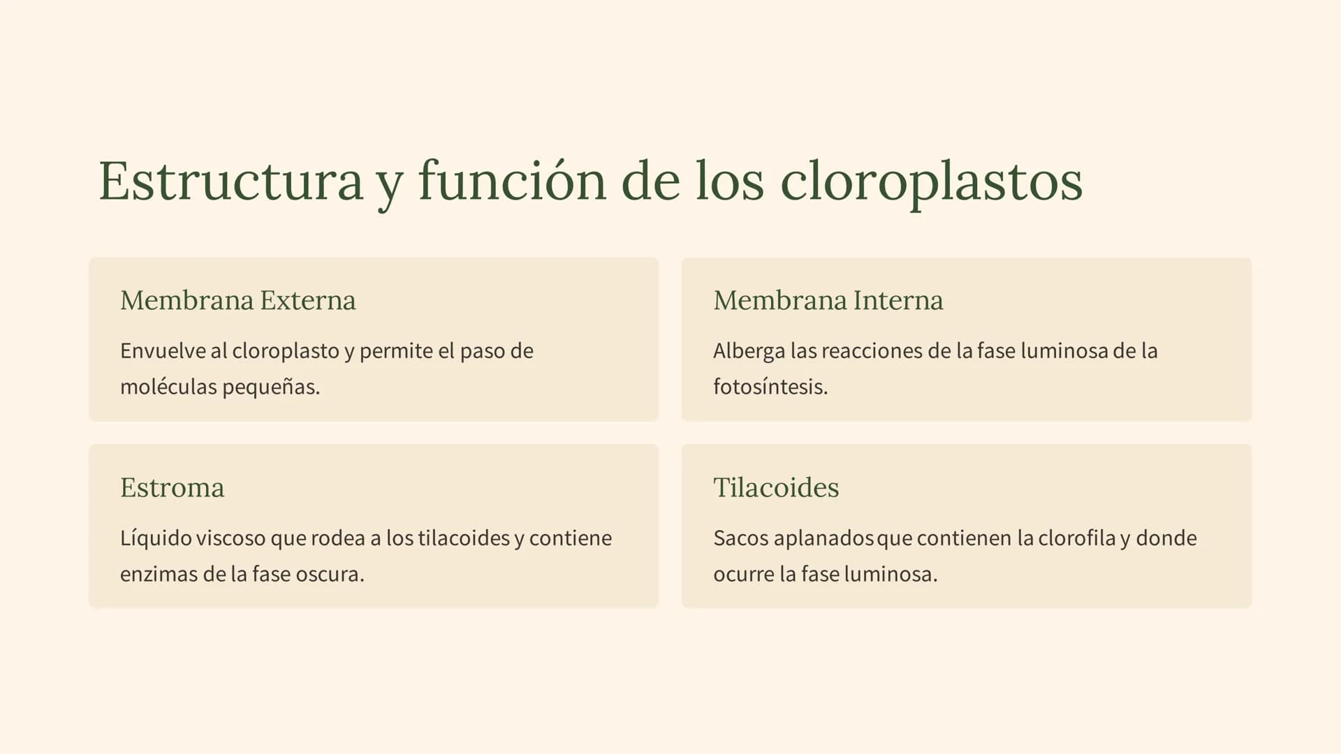 La fotosíntesis: el
proceso
fundamental de la
vida
La fotosíntesis es el proceso clave que sustenta la vida en la Tierra,
convirtiendo la en