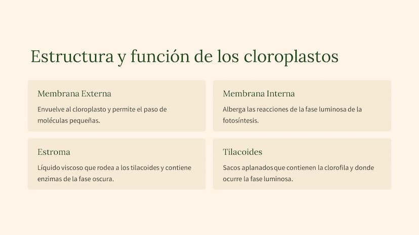 La fotosíntesis: el
proceso
fundamental de la
vida
La fotosíntesis es el proceso clave que sustenta la vida en la Tierra,
convirtiendo la en