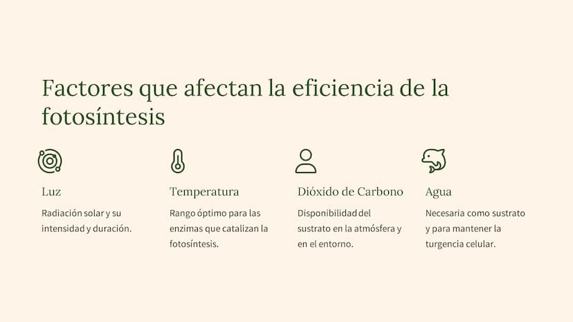 La fotosíntesis: el
proceso
fundamental de la
vida
La fotosíntesis es el proceso clave que sustenta la vida en la Tierra,
convirtiendo la en
