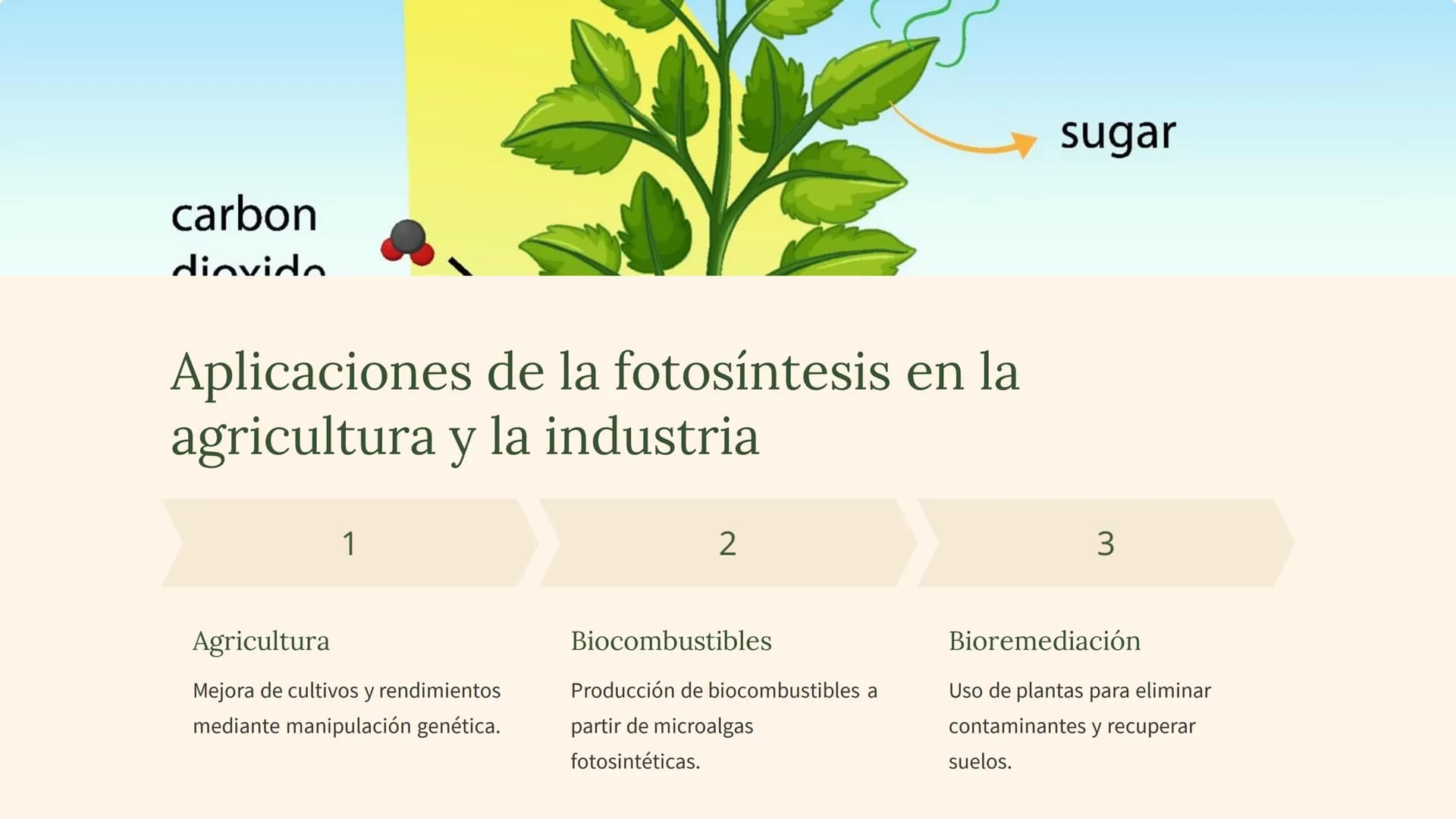 La fotosíntesis: el
proceso
fundamental de la
vida
La fotosíntesis es el proceso clave que sustenta la vida en la Tierra,
convirtiendo la en