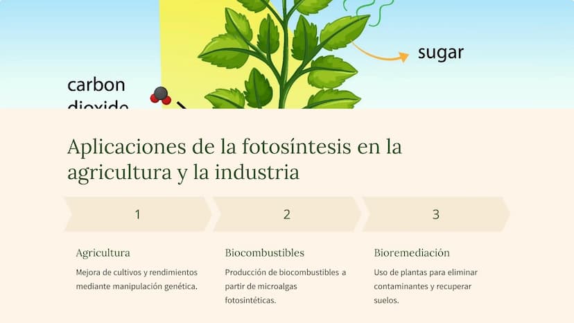 La fotosíntesis: el
proceso
fundamental de la
vida
La fotosíntesis es el proceso clave que sustenta la vida en la Tierra,
convirtiendo la en