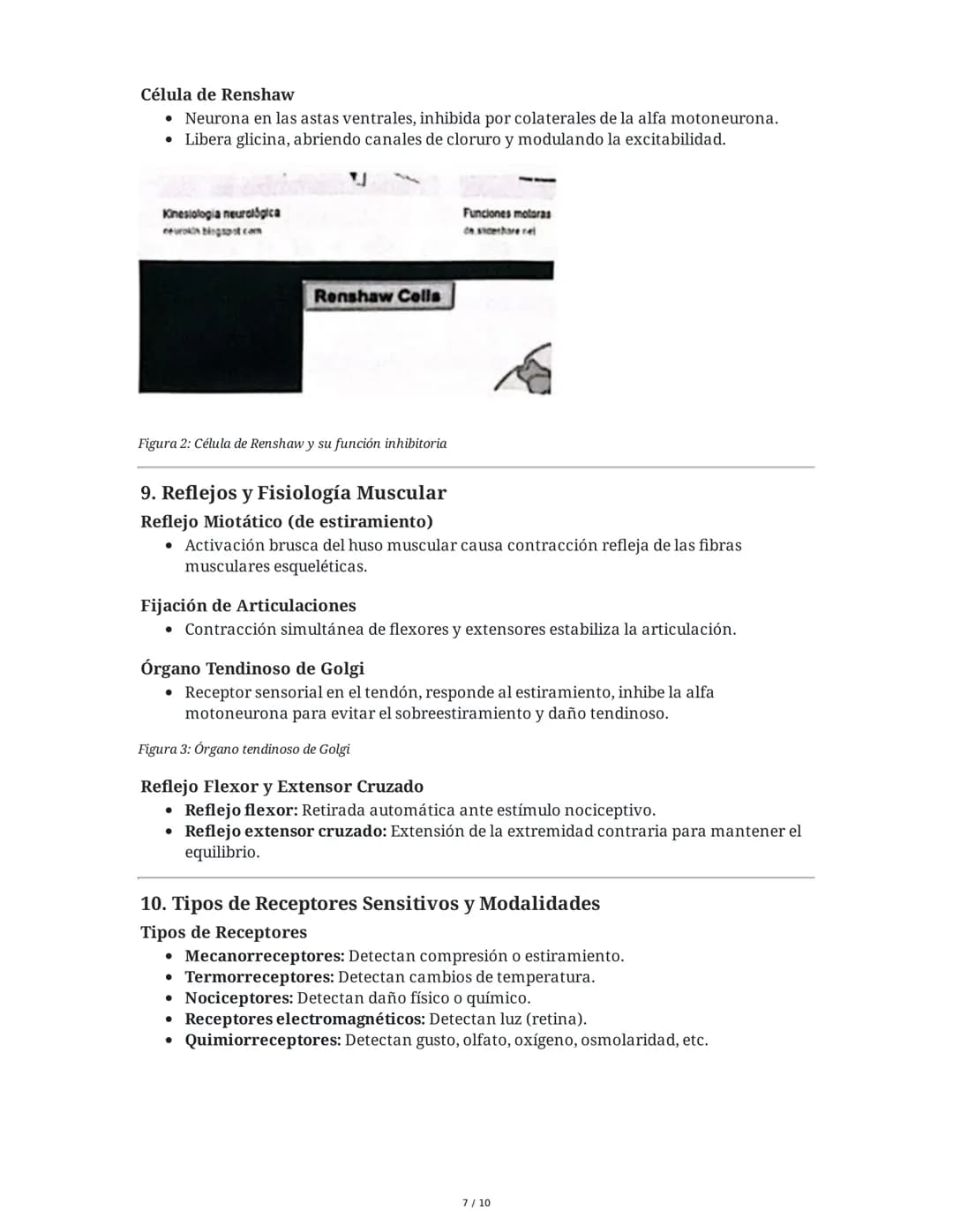 Guía de Fisiología - Unidad 1: La Célula y el Sistema Nervioso
1. La Célula: Unidad Anatómica, Fisiológica y Estructural
Estructura Celular
