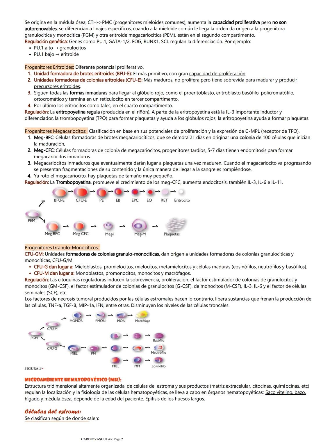 # HEMATOPOYESIS
lunes, 4 de agosto de 2025 3:02 p. m.

¿Qué es?
Es un proceso complejo para generar células, derivando de las células tronca