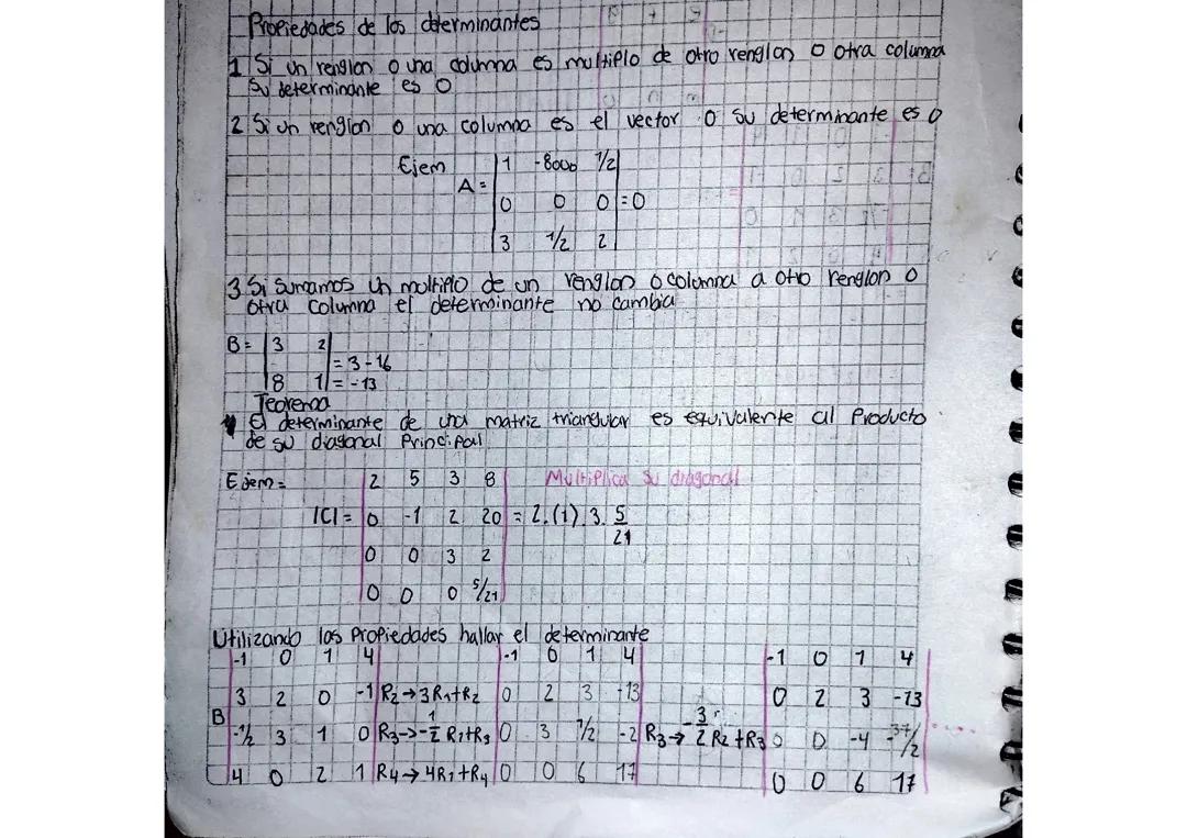 Propiedades de los determinantes 