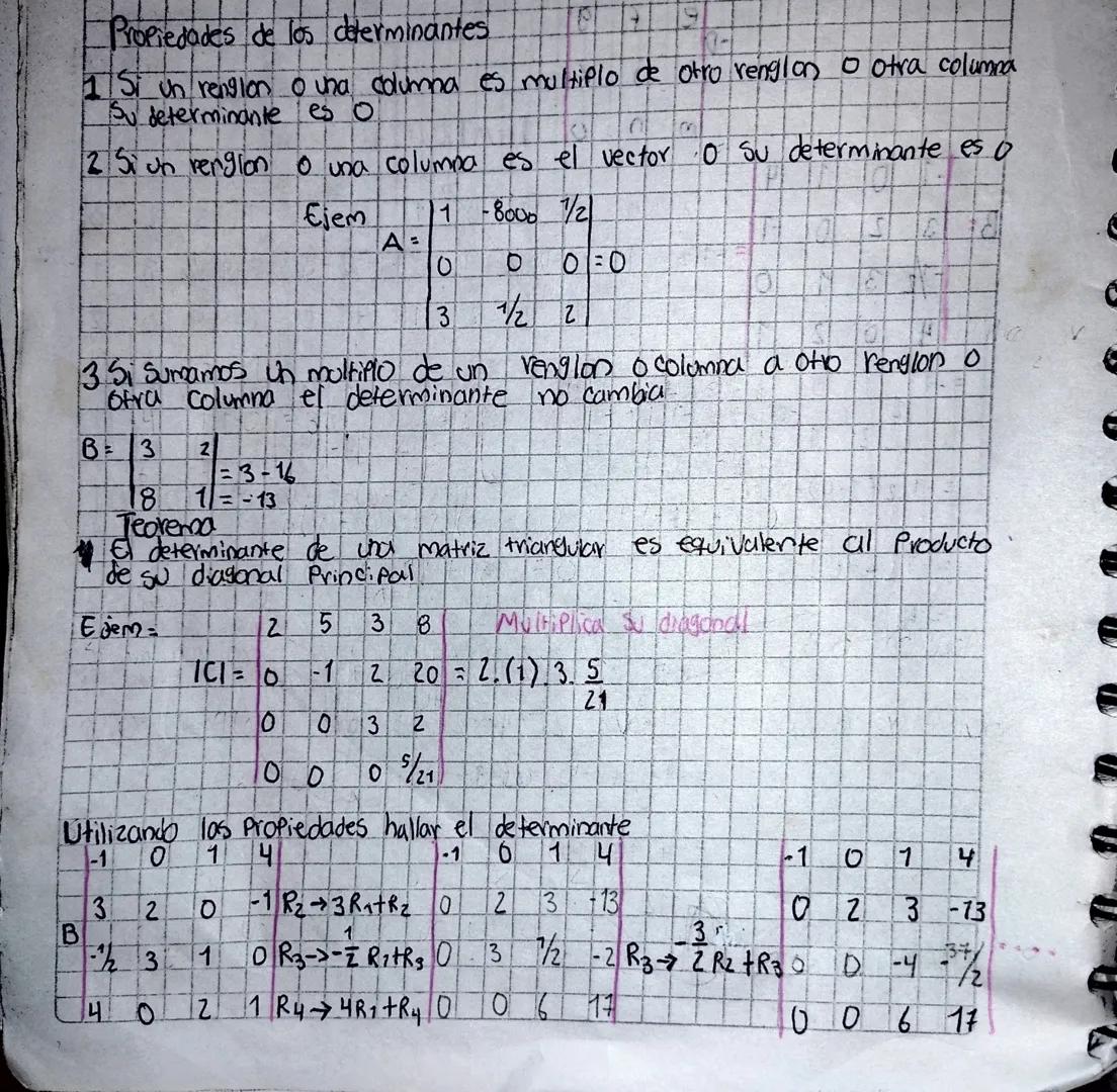 Propiedades de los determinantes
1 Si un renglon o una columna es multiplo de otro renglon o otra columna
Su determinante es o
2 Si un rengi
