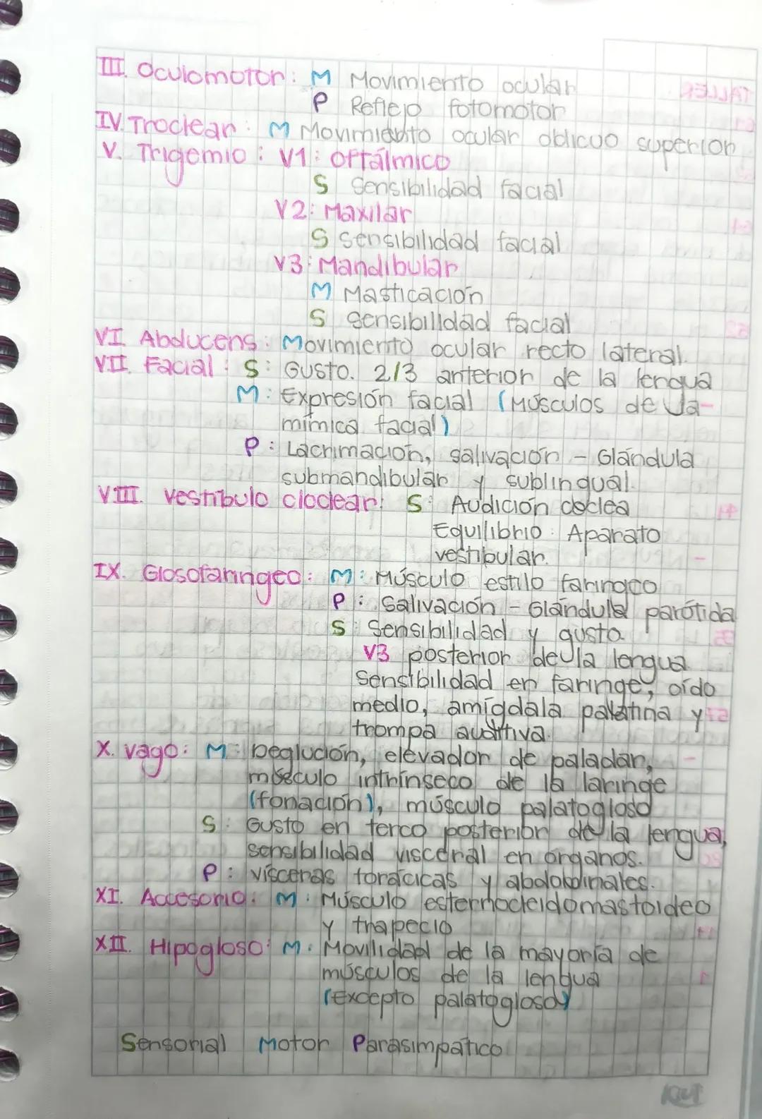 12/04/2023

SISTEMA NERVIOSO:

Sistema nervioso
central (SNC)

Sistema nervi Oso
periférico (SNP)

Encefalo
↓
cerebro
cerebelo
Bulbo raquíde