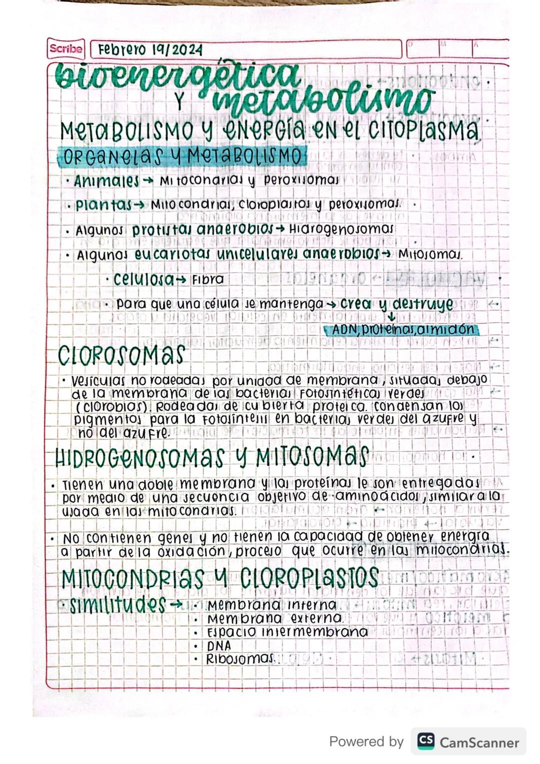 Scribe Febrero 19/2024
# bioenergetica
## y metabolismo
### Metabolismo y energía en el citoplasma
ORGANELAS Y METABOLISMO
* Animales Mitoco