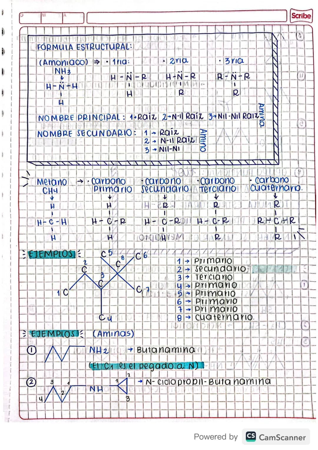 grupos funcionales
O GRUDO FUNCIONAL: alcouro
FORMULA MOLECULAR: Cn H2n+2
(n# de carbonos)
FORMULA ESTRUCTURAL: C-C
NOMBRE PRINCIPAL: Raíz O