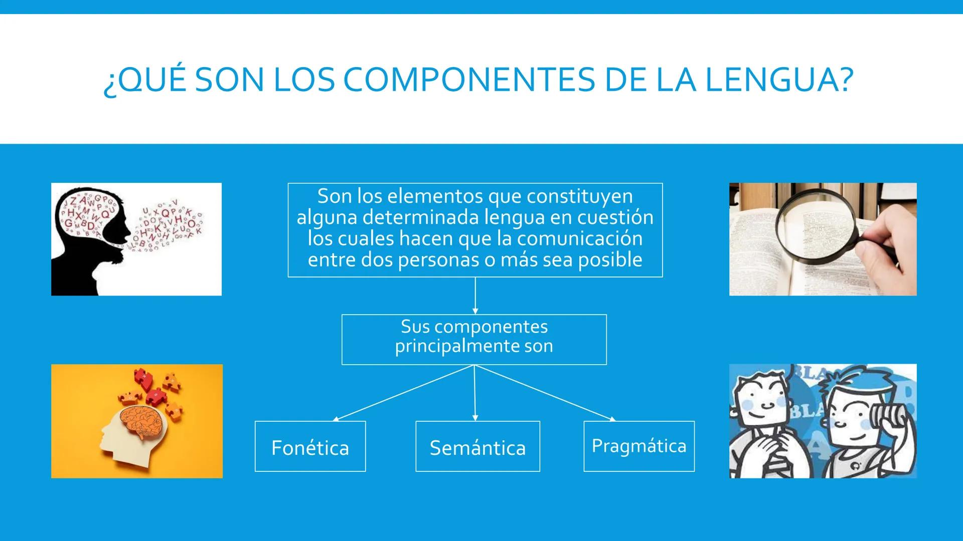 ANÁLISIS DE LOS COMPONENTES
DE LA LENGUA
Materia: Competencias En Lengua Materna
Carrera: Lenguas Modernas ¿QUÉ SON LOS COMPONENTES DE LA LE