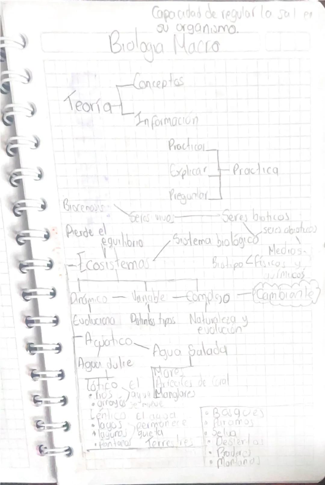 Capacidad de regular la sal en
su organismo.
Biologia Macro
Teoría L
Conceptos
Información
Practical
Explicar Practica
Preguntar
Bracenosis
