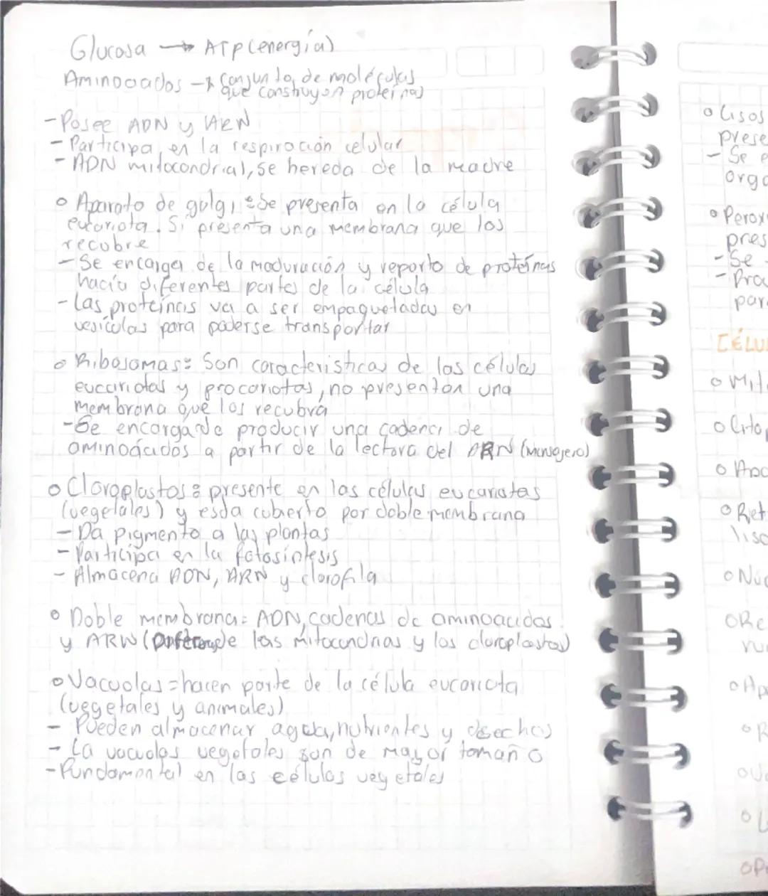 Capacidad de regular la sal en
su organismo.
Biologia Macro
Teoría L
Conceptos
Información
Practical
Explicar Practica
Preguntar
Bracenosis
