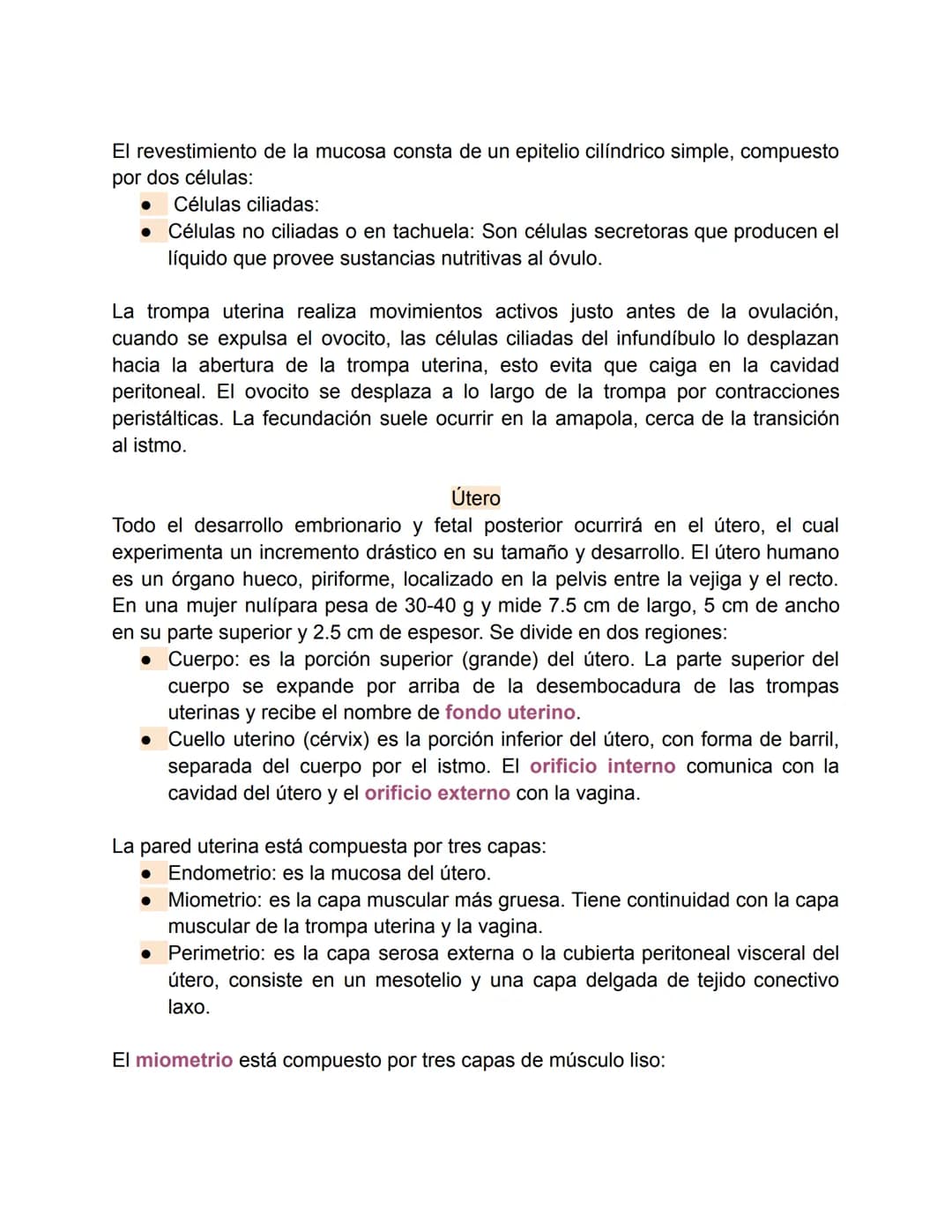Aparato reproductor femenino-Valentina Becerra
Fundamentos del aparato reproductor femenino
El aparato genital femenino está compuesto por ó