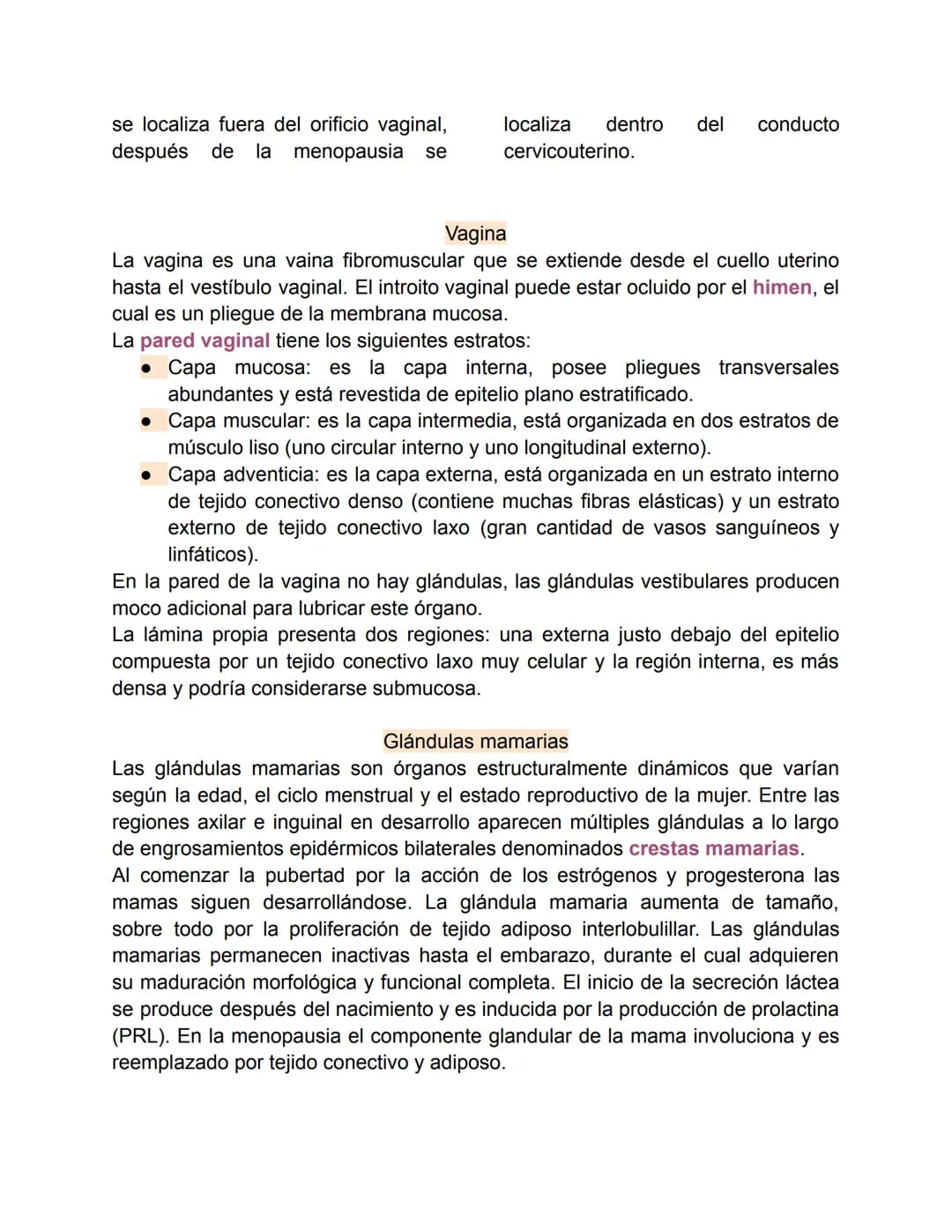 Aparato reproductor femenino-Valentina Becerra
Fundamentos del aparato reproductor femenino
El aparato genital femenino está compuesto por ó