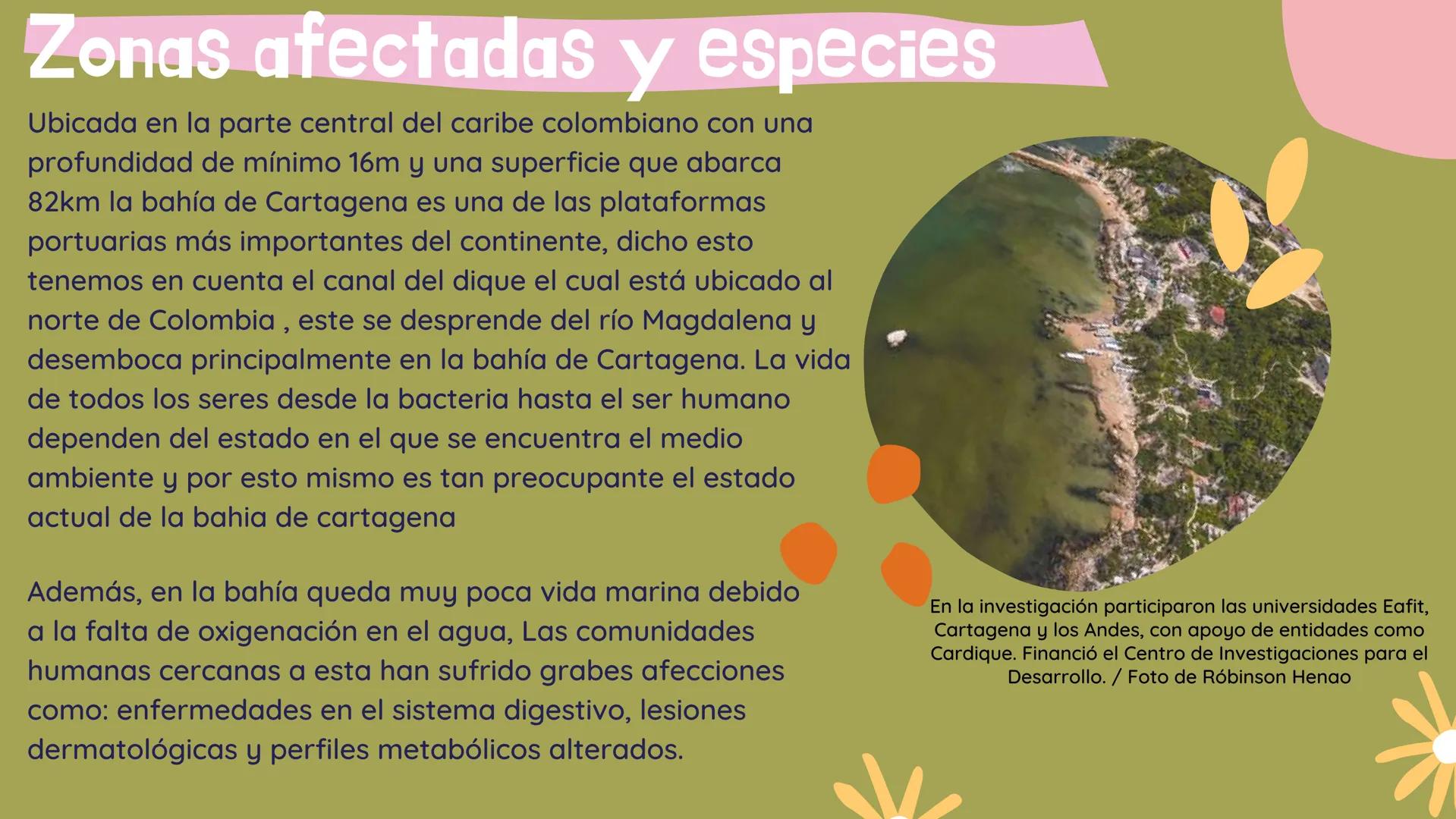 contaminación de
las aguas
Impacto en el desarrollo humano debido a
contaminación en la bahía de Cartagena Indice

• Objetivos

• Zonas afec