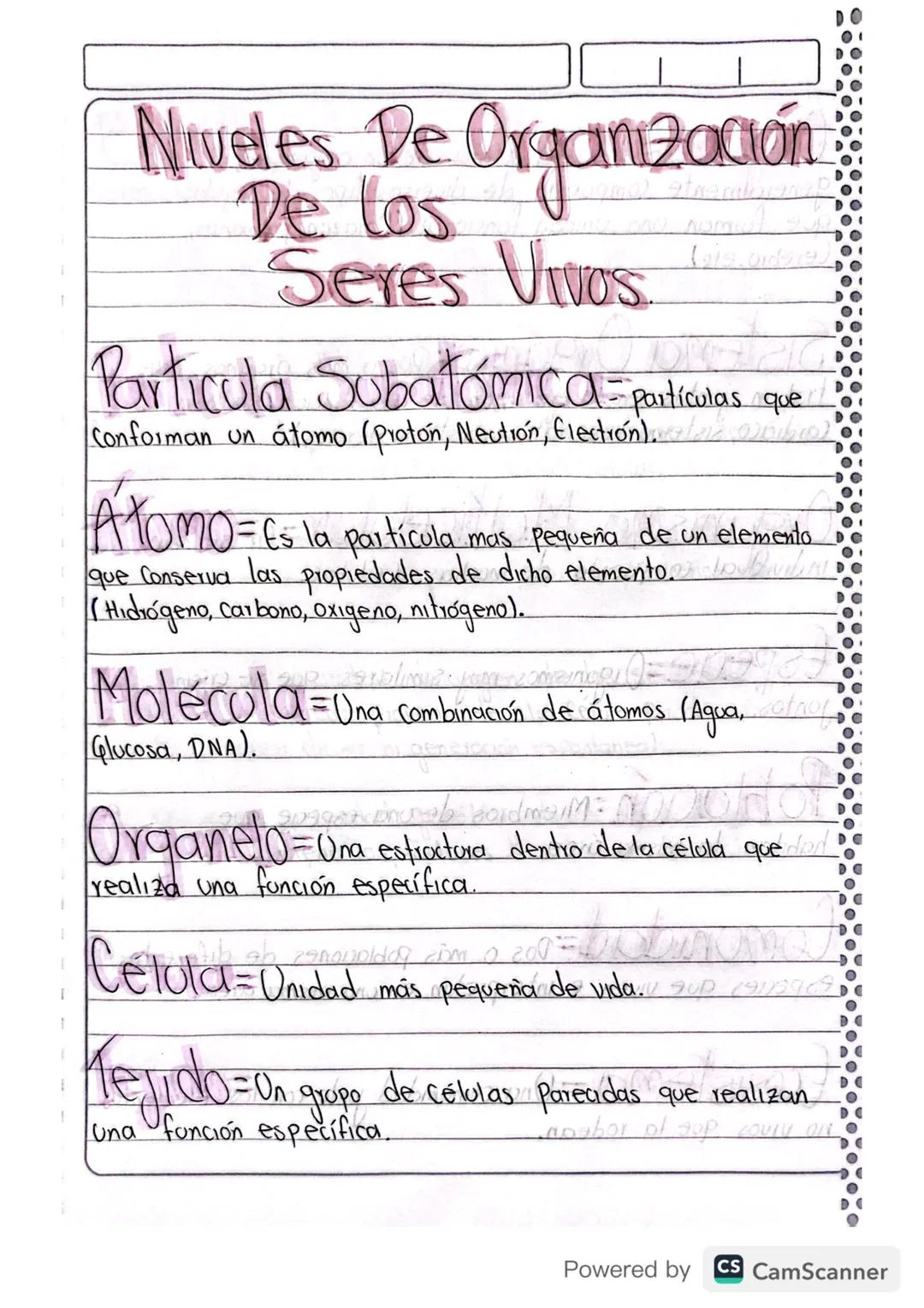 Niveles de organización de los seres vivos