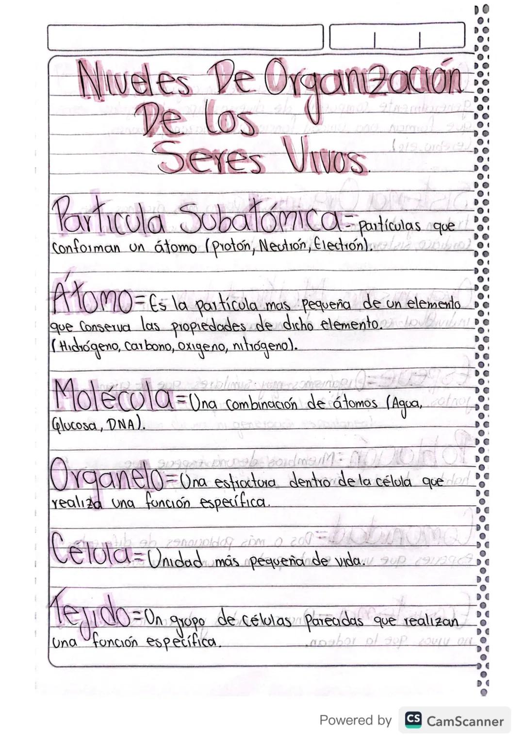 01
Niveles De Organización
De los
Seres Vivos.
219.ords
Particula Subatomica - particulas que
Conforman un átomo (proton, Nection, Election)
