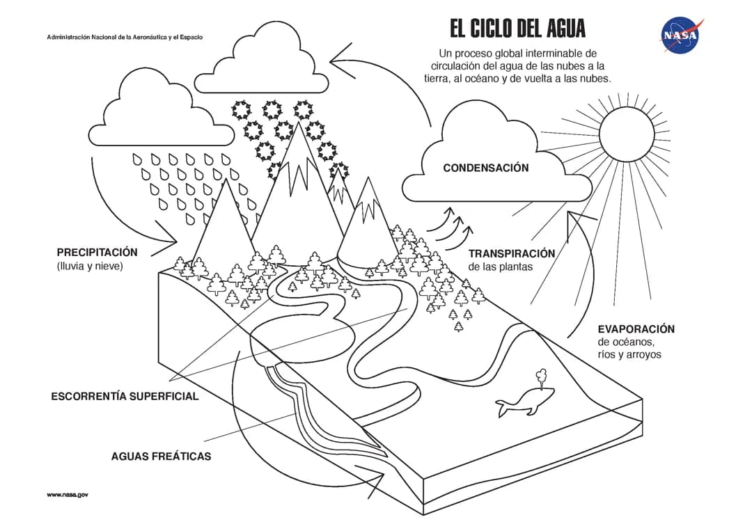 Ciclo del agua 