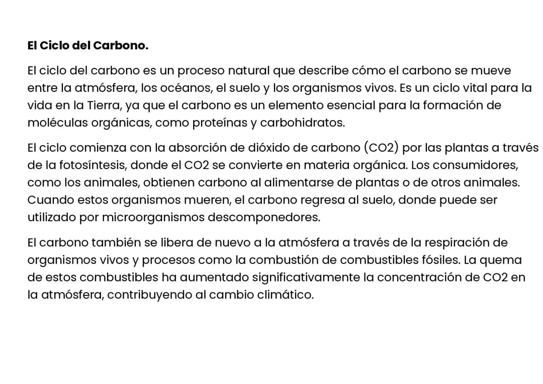 EL CICLO DEL CARBONO.