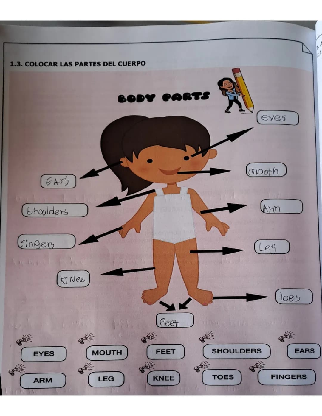 Partes del cuerpo en ingles