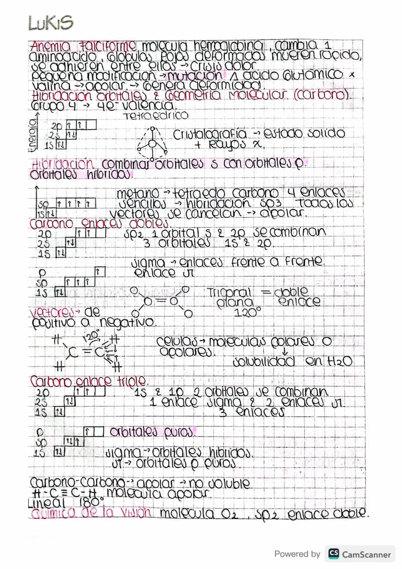 LUKIS
determinar anticuerpos, antigenol - No significa tener
Virus Unir con cromogeno colon
Mas paniculas - mais absorvancial, mas color
Abs