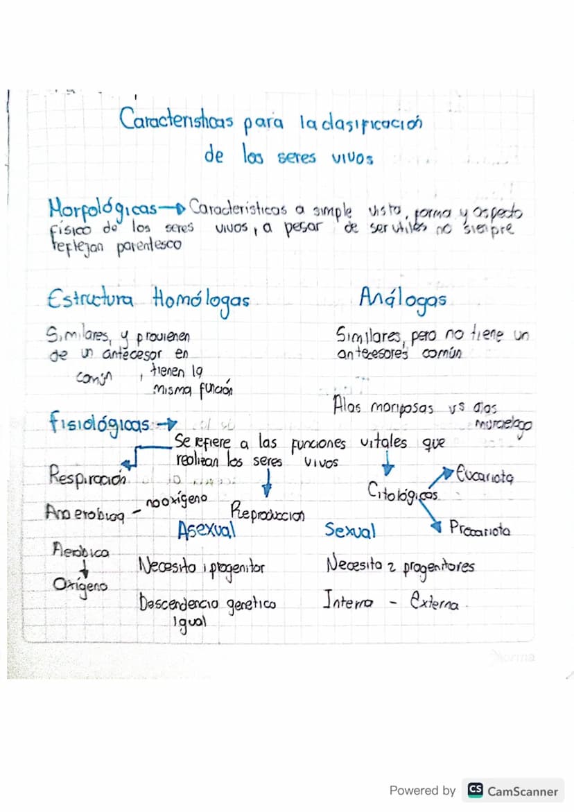 Caracteristicas para la clasificación
de los seres viVOS
Morfológicas-Caracteristicas a simple vista, forma y aspects
Físico de los seres
re