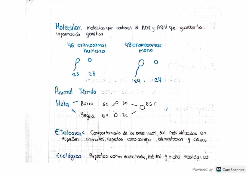 Caracteristicas para la clasificación
de los seres viVOS
Morfológicas-Caracteristicas a simple vista, forma y aspects
Físico de los seres
re