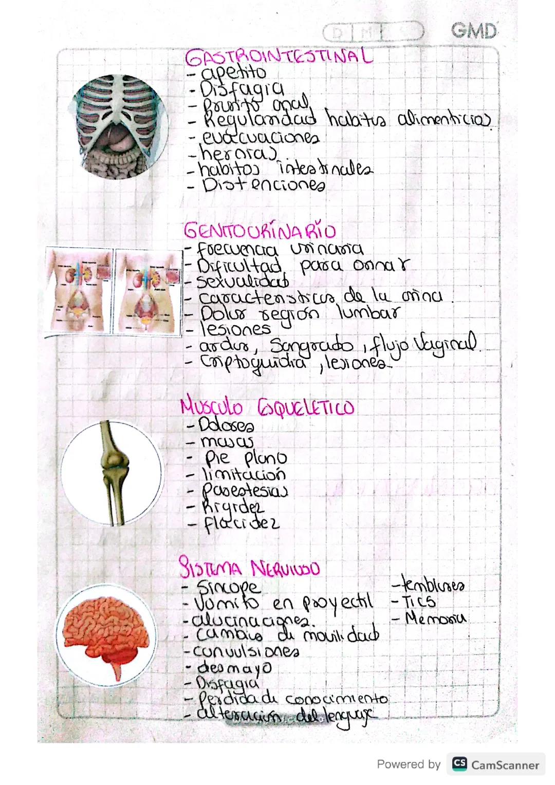 Anatomía humana 