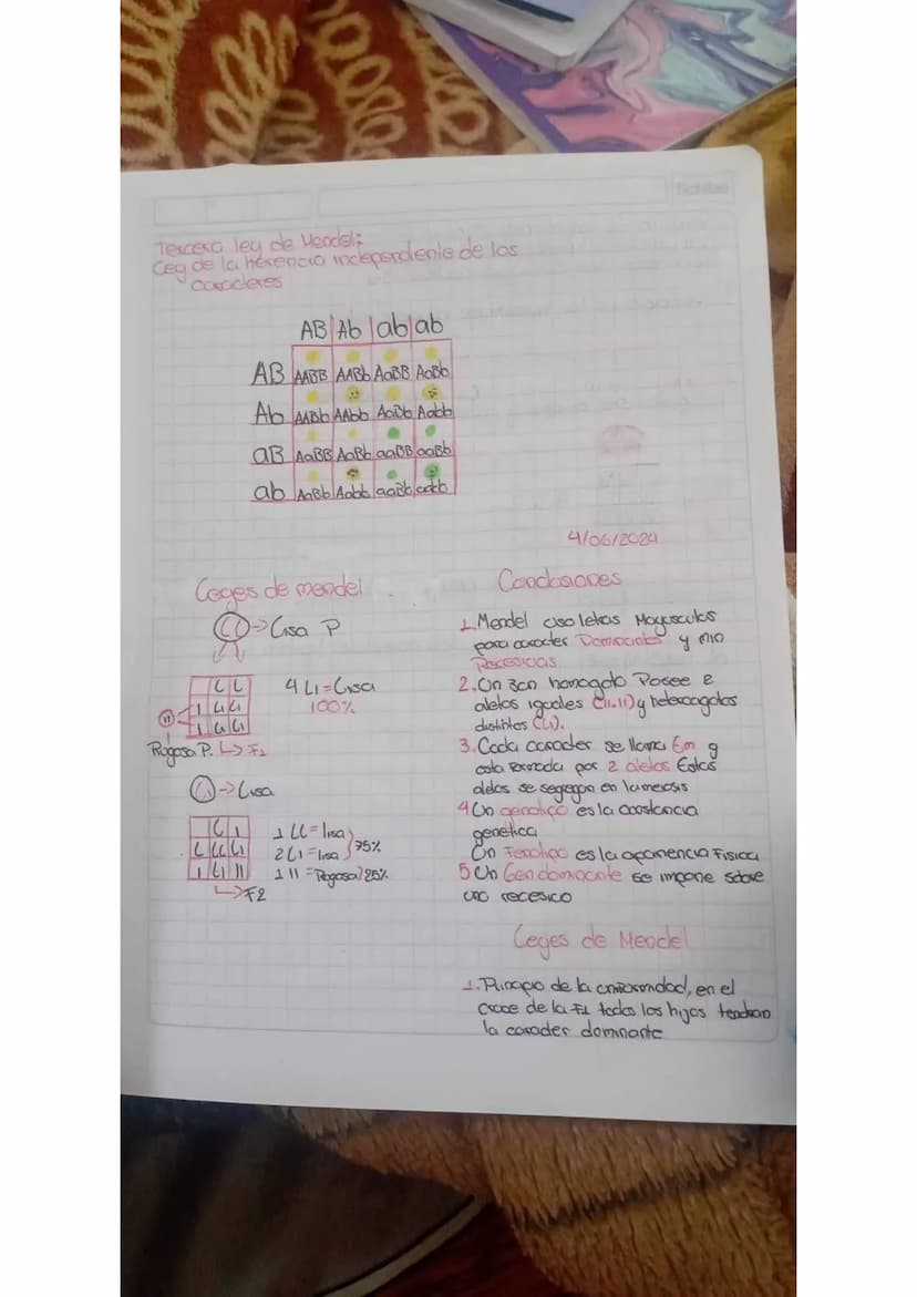 000
0800
-Gromere las 3 leges de Mendel
•Coal Foe la razon mas importante Que
mendel tooo para trabajar can gigantes
y por ace no con otras 