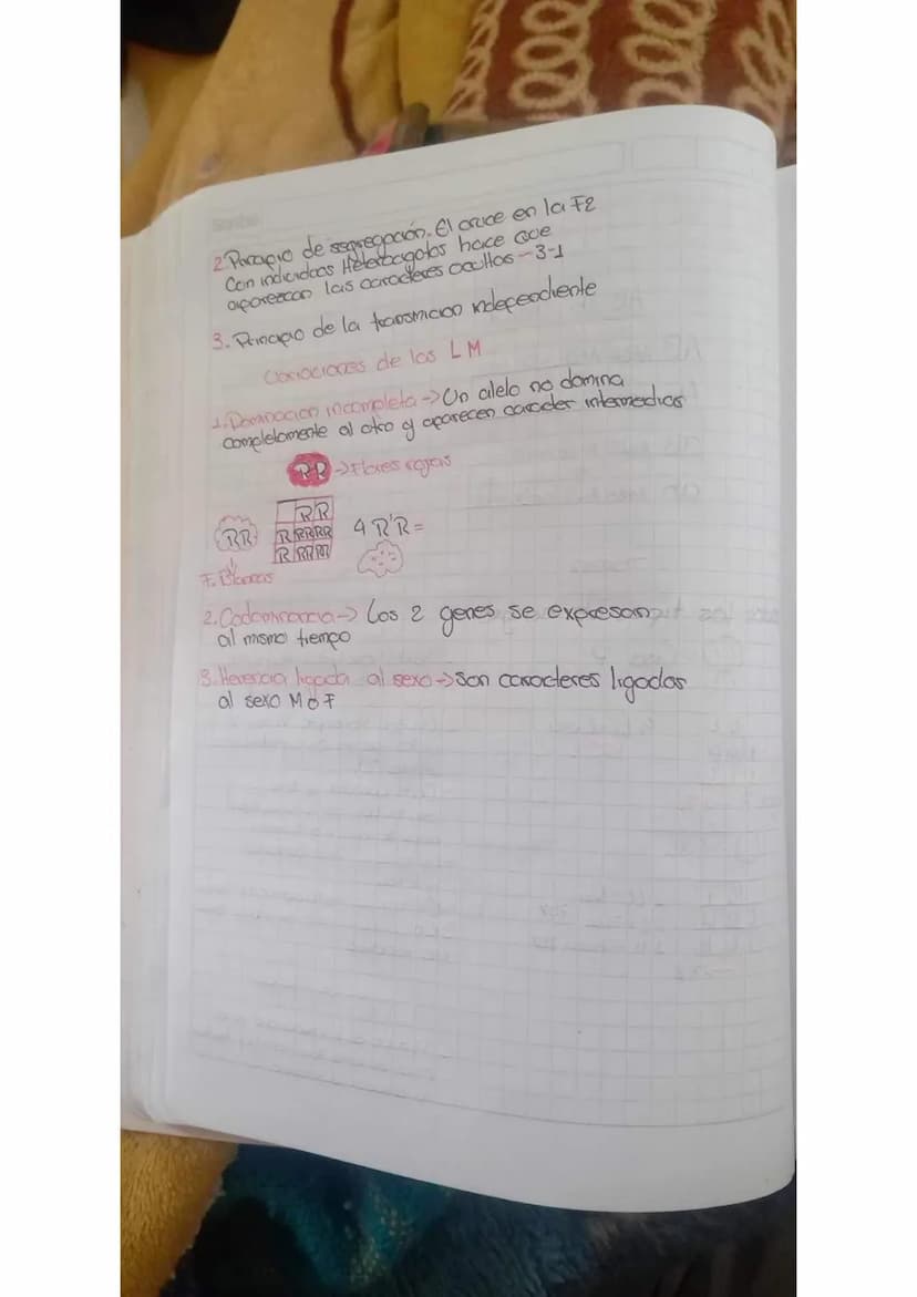 000
0800
-Gromere las 3 leges de Mendel
•Coal Foe la razon mas importante Que
mendel tooo para trabajar can gigantes
y por ace no con otras 