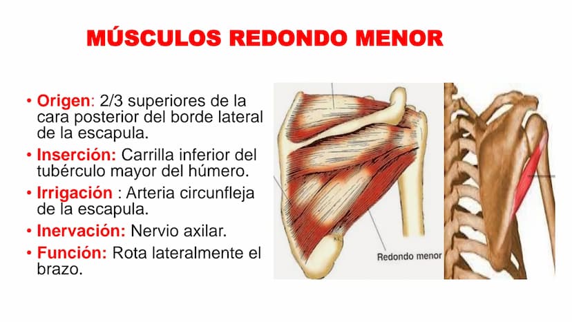 know - 12