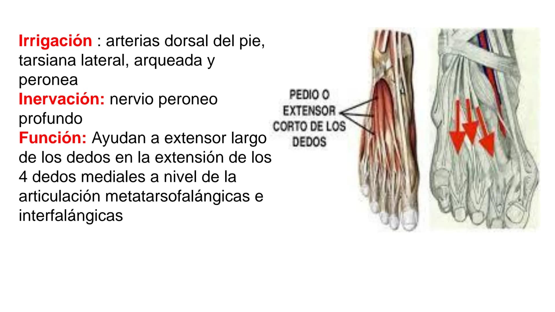 know - 127