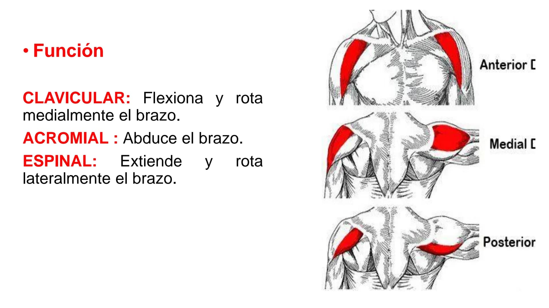 know - 7
