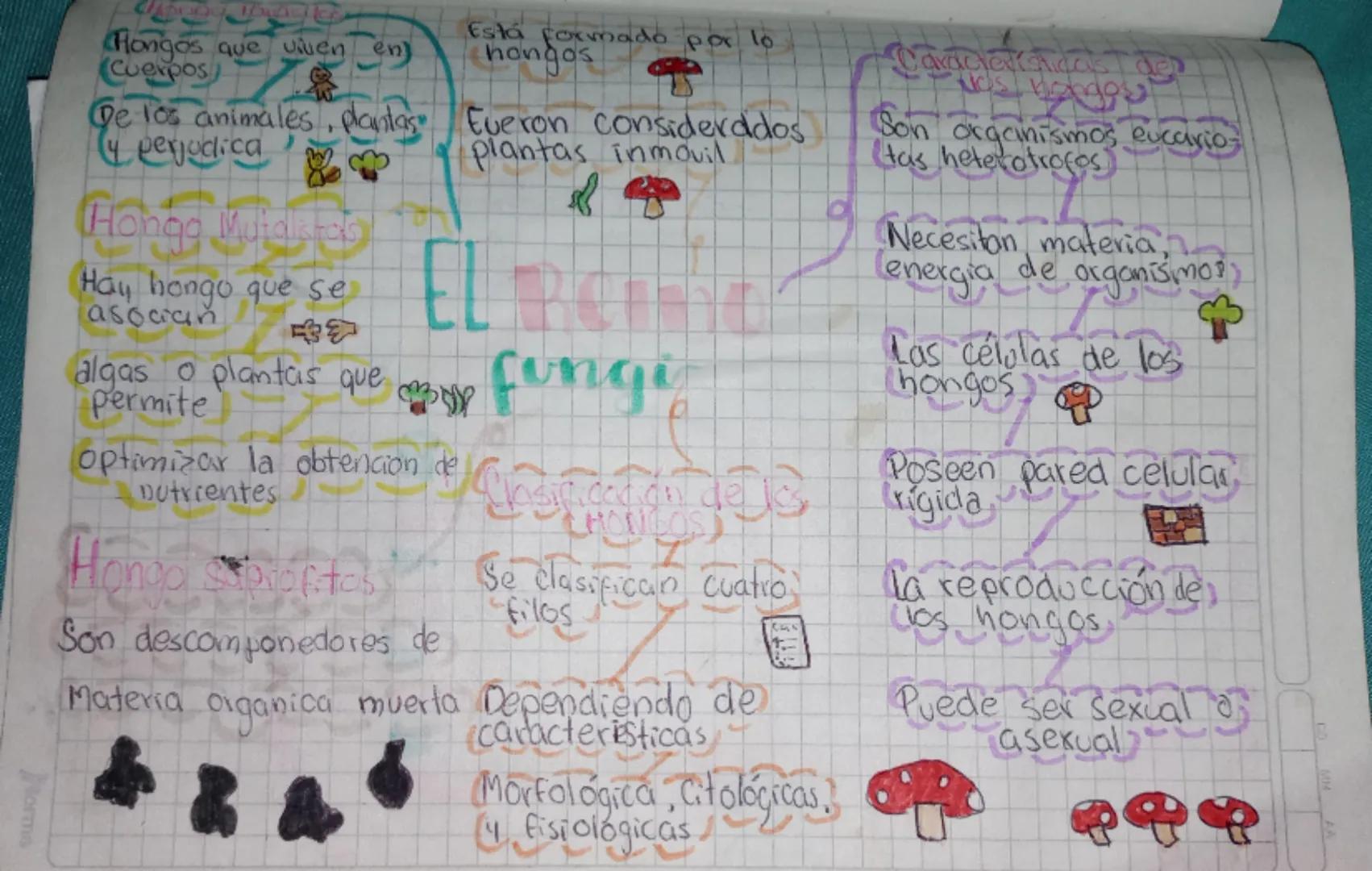 1040
Hongos que viuen
(Cuerpos
enj
Está formado por lo
hongos
De los animales, plantas Everon considerados
4 perjudica
Hongo Mutalates
plant