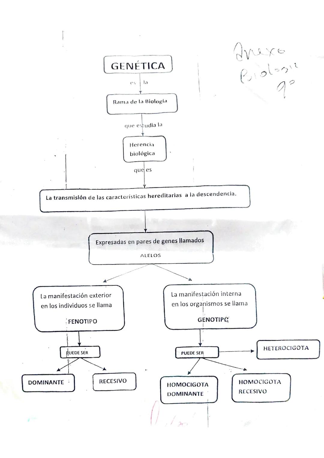 Genética 