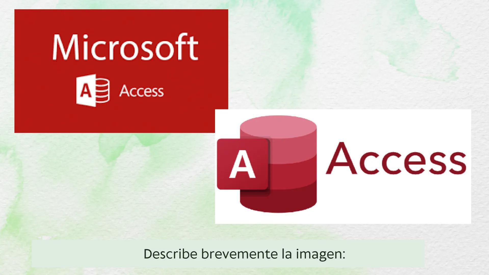 MICROSOFT ACCESS
MARIA PAULA MENA BIOGRAFIA
ACCESS FUE FUNDADA EN ABRIL DE
1979 POR TORU ARAKAWA Y
TOMIHISA KAMADA Y HA CRECIDO
HASTA CONVER