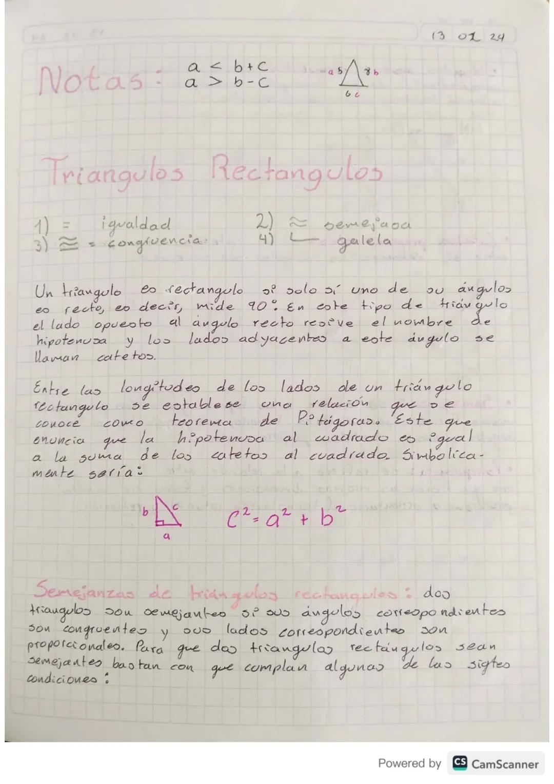 Triángulos rectángulos