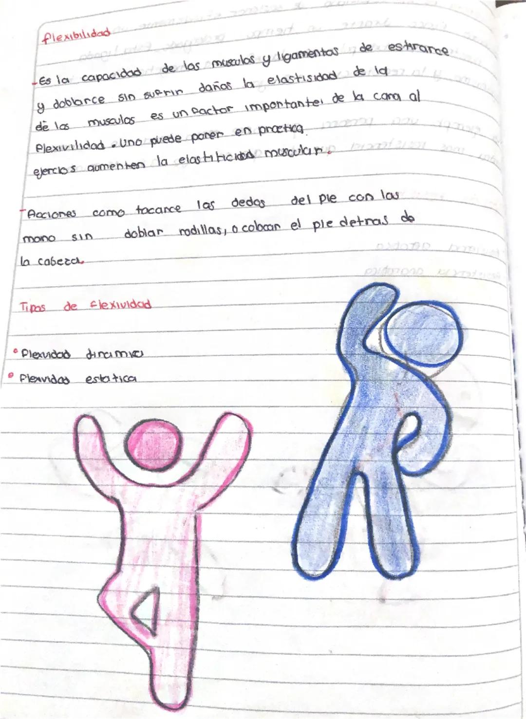 ## Temas y suttemas

1. Economia de la actividad fisica.

**objetivo**
Identifica la importancia del uso de materiales ergonomicos en la act