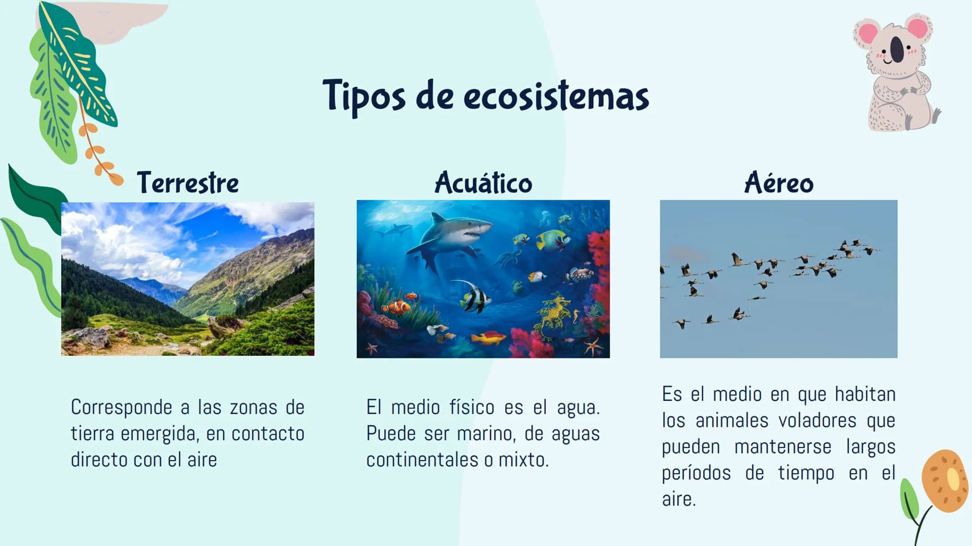 Ecosistemas
M ¿Qué es un ecosistema?
El ecosistema es el conjunto de seres vivos de un
lugar, el ambiente que lo rodea y las relaciones que
